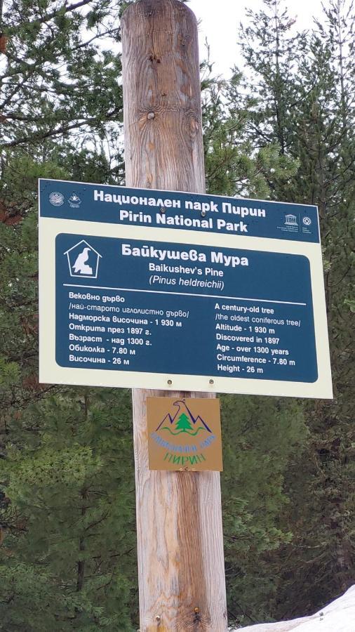 500м. от лифта Сладък дом в Белведере СПА комплекс Банско Екстериор снимка